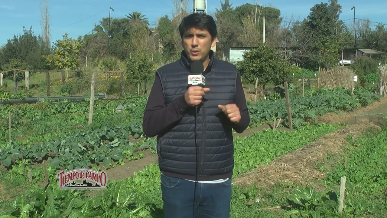 En este momento estás viendo Agricultura Urbana en Rosario – Dr. Nicolás Gianelloni