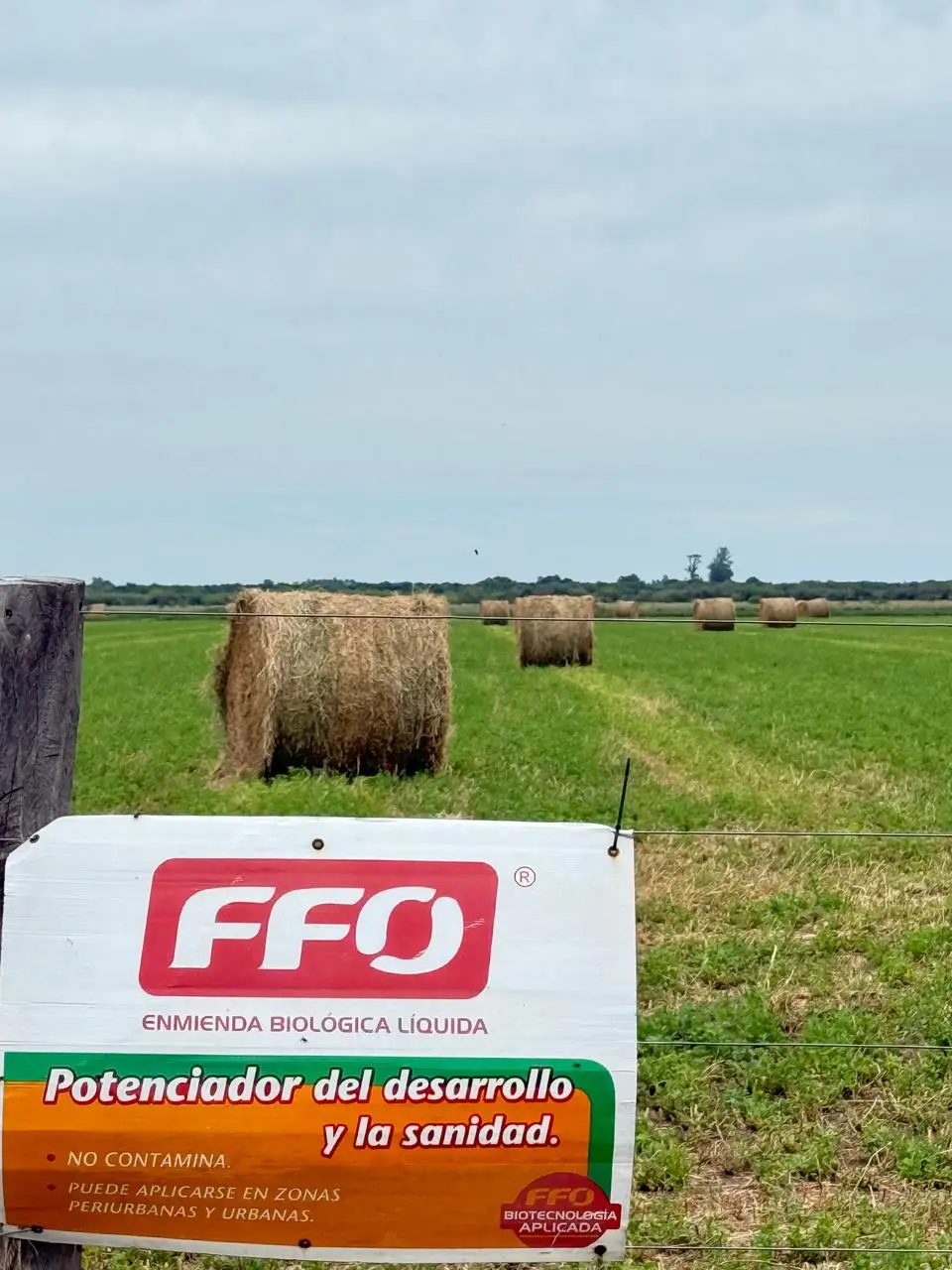 En este momento estás viendo FFO es una enmienda biológica líquida