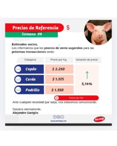 Lee más sobre el artículo Pormag Actualización